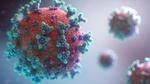 Bioinformatics analysis of viromes
